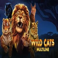 Wild Cats Multiline